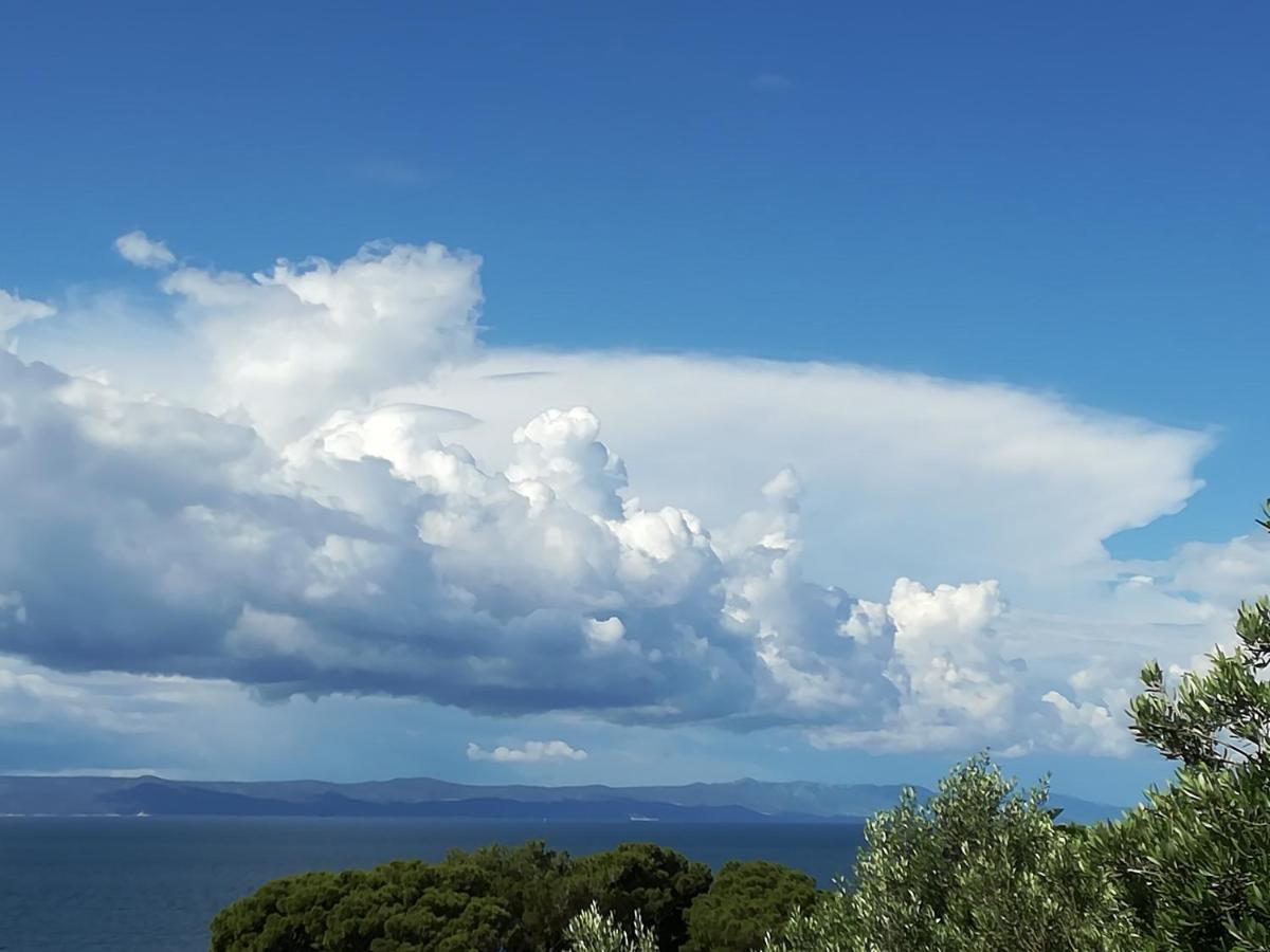 Stella Mare Daire Tučepi Dış mekan fotoğraf